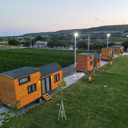 Enginar Cicegi * Çeşme
